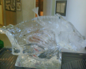 Razorback Hog Ice Luge